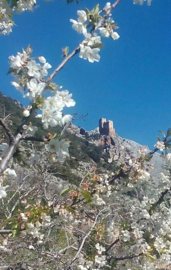 Вилла Casa La Oliva Альбанчес-де-Убеда Экстерьер фото
