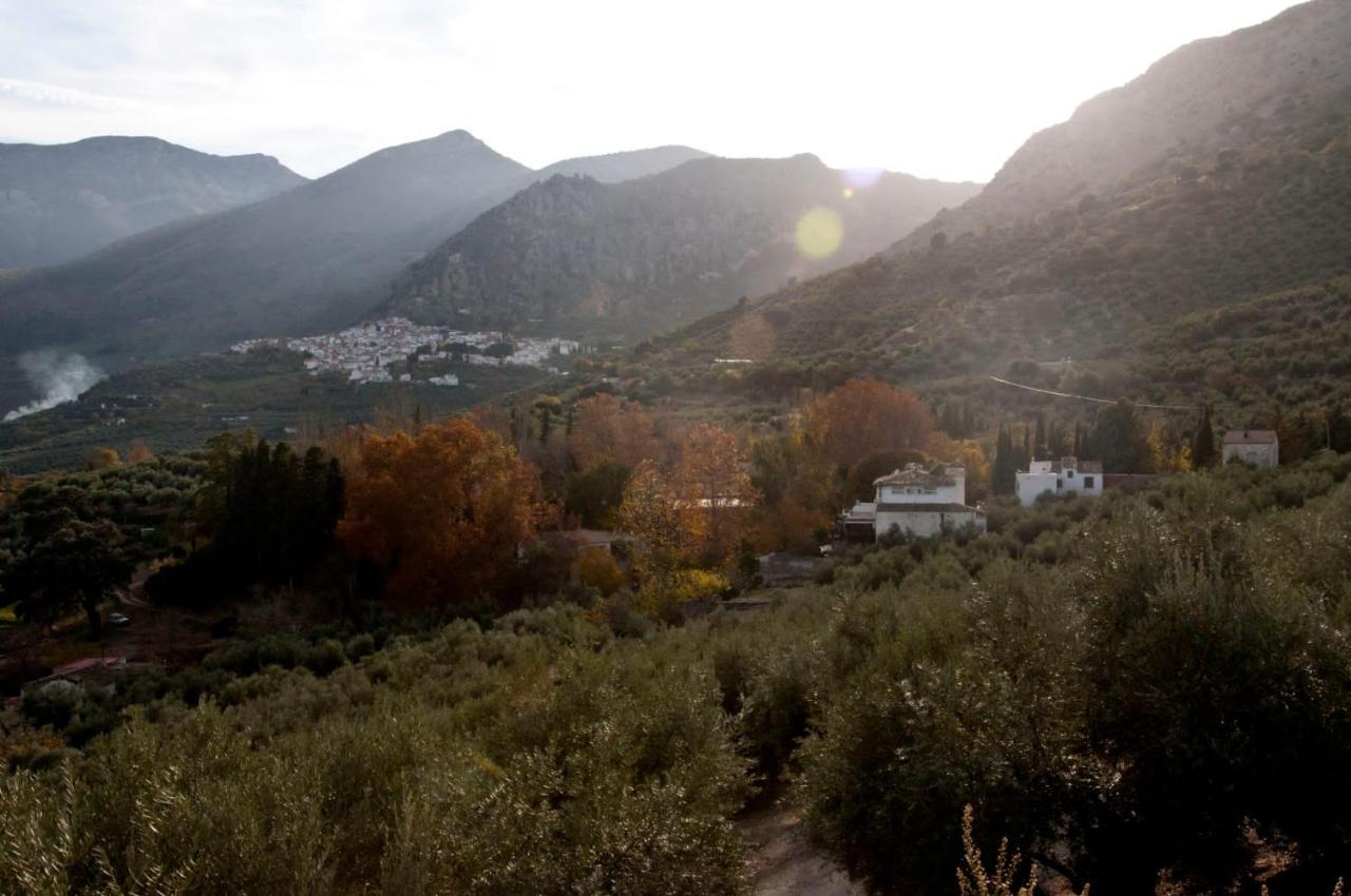 Вилла Casa La Oliva Альбанчес-де-Убеда Экстерьер фото